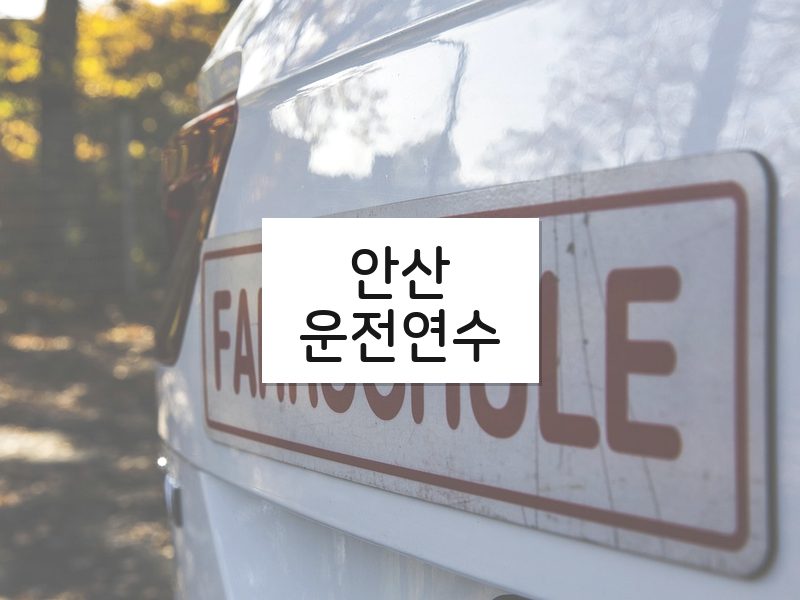 안산운전연수 후기