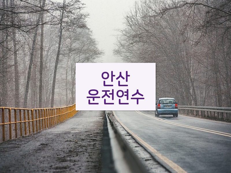 안산운전연수 후기