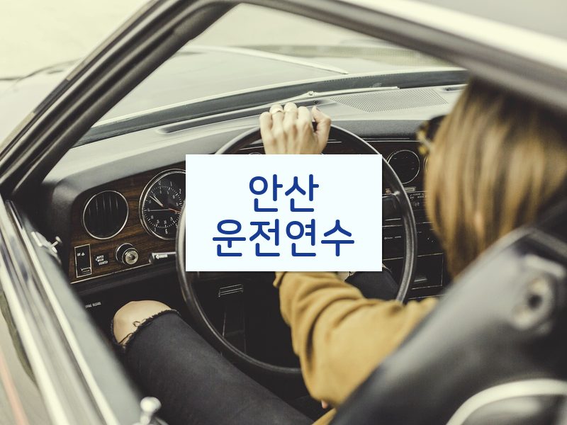 안산운전연수 후기