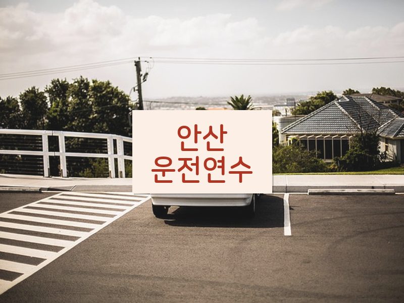 안산운전연수 후기