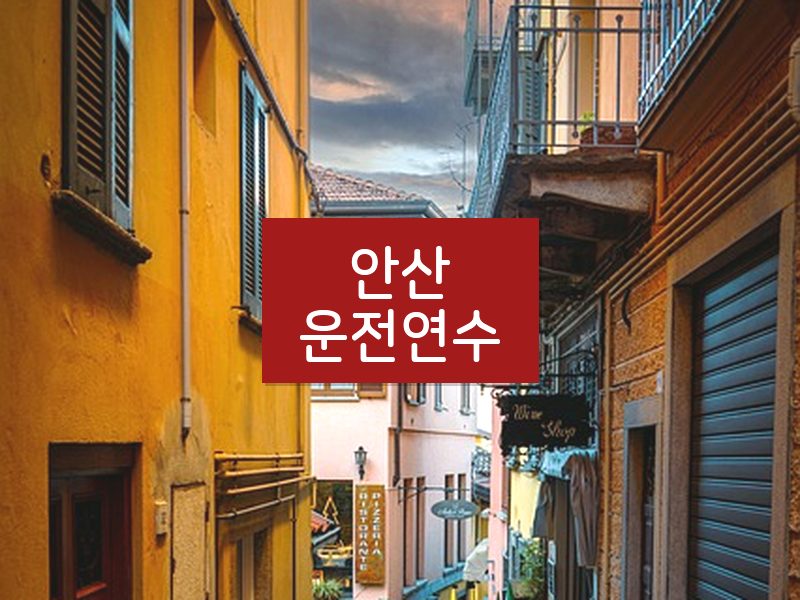 안산운전연수 후기