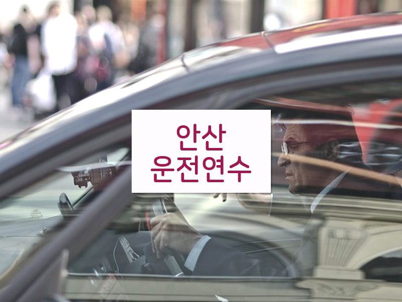 안산운전연수 후기