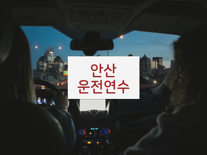 안산운전연수 후기