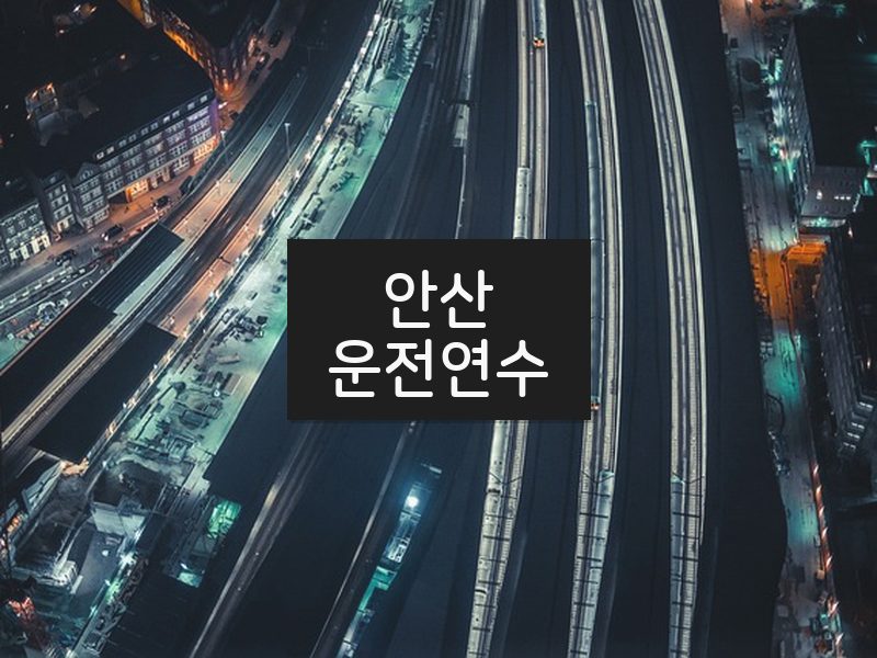 안산운전연수 후기