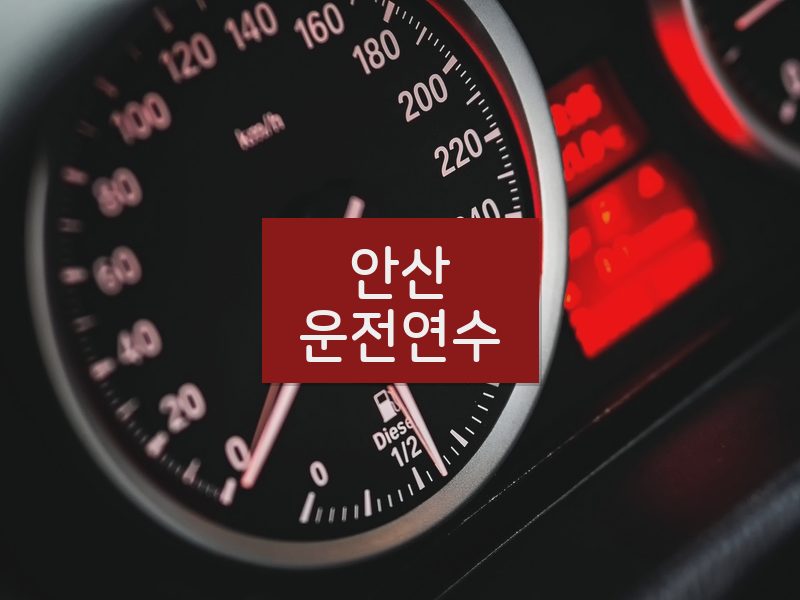 안산운전연수 후기