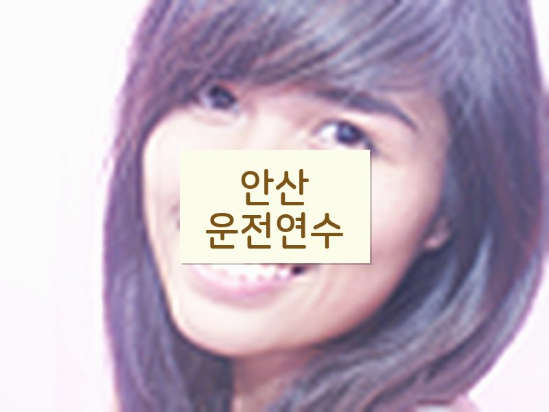 안산운전연수 후기