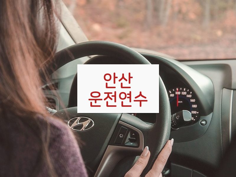 안산운전연수 후기