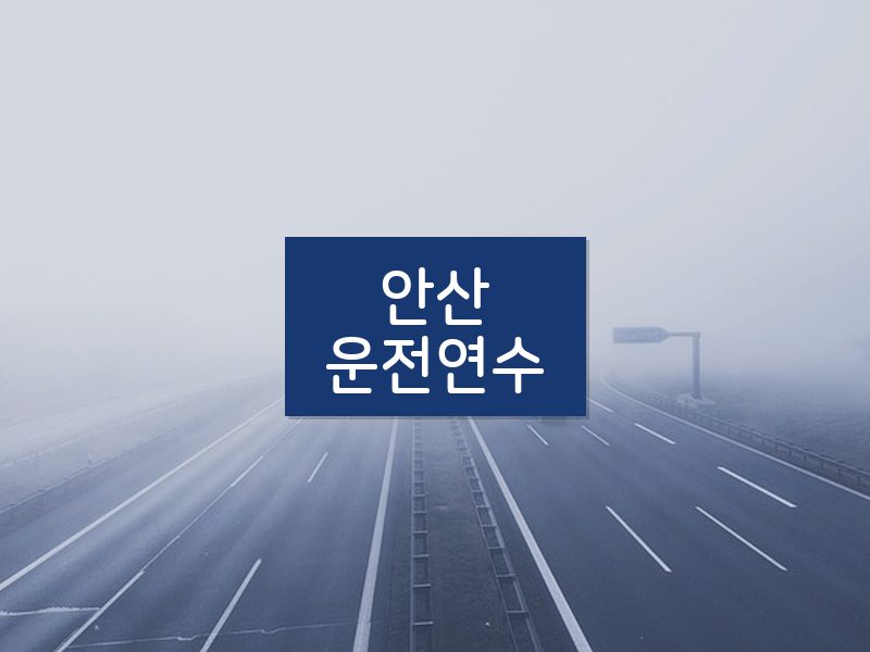 안산운전연수 후기