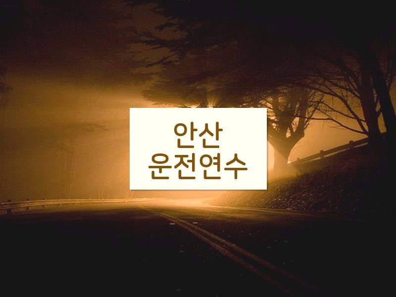 안산운전연수 후기