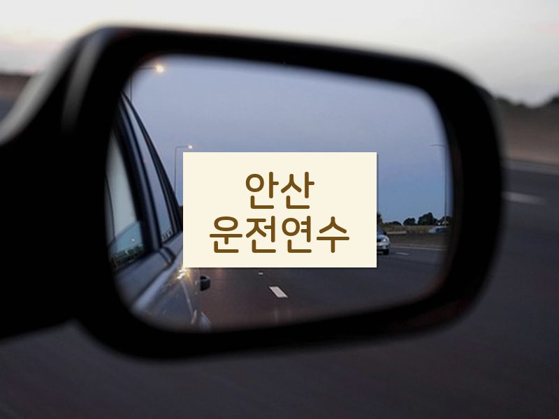 안산운전연수 후기