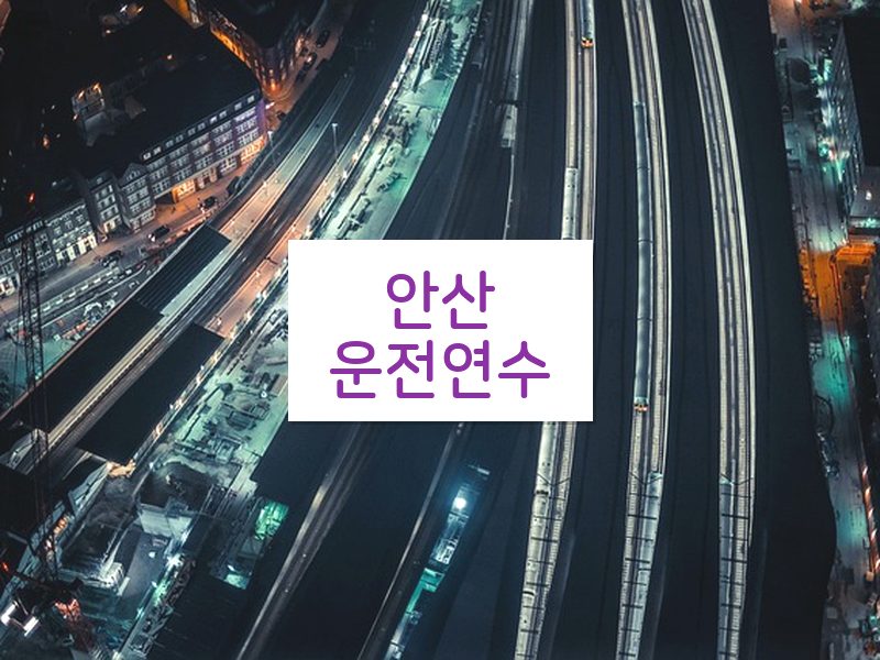 안산운전연수 후기