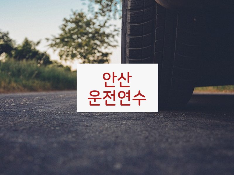 안산운전연수 후기