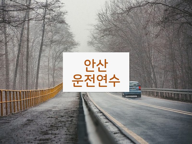 안산운전연수 후기