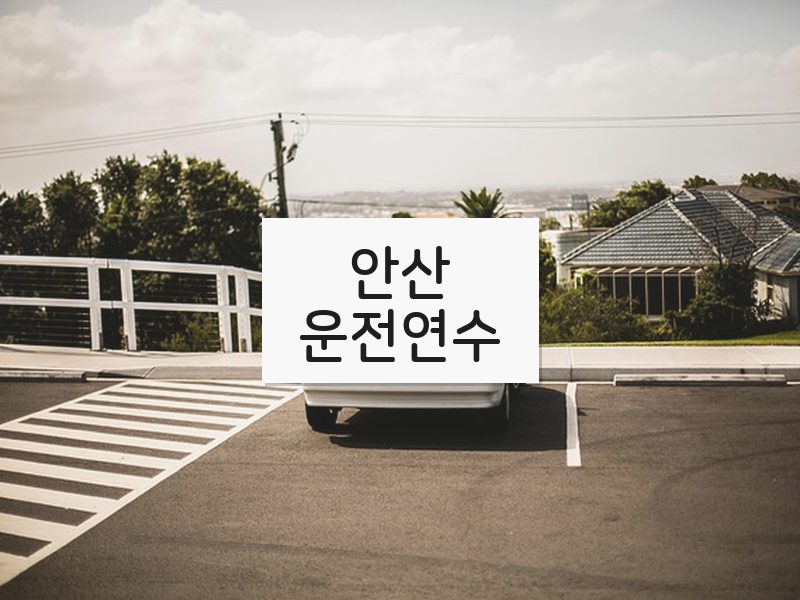 안산운전연수 후기