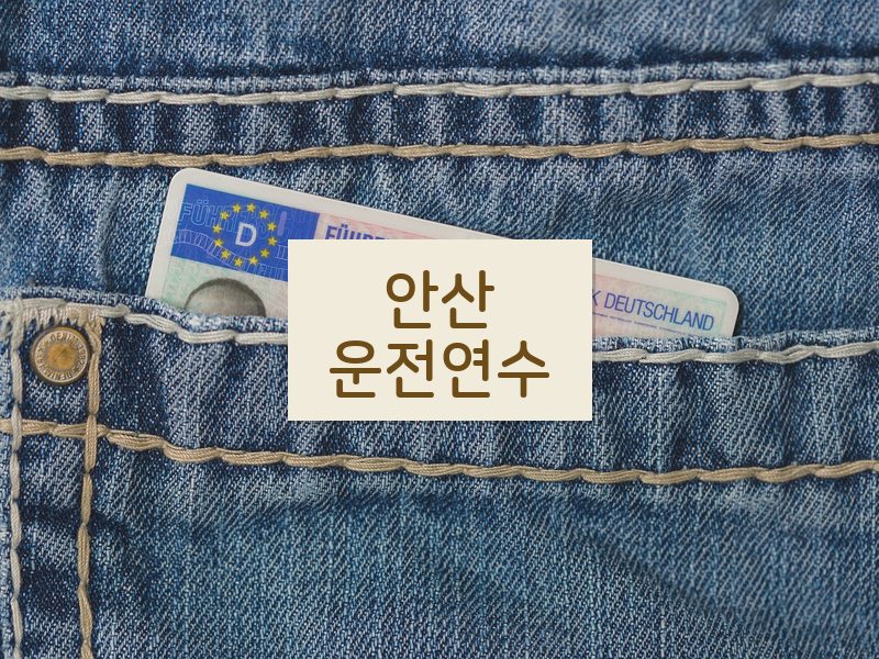 안산운전연수 후기