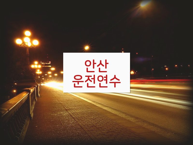 안산운전연수 후기