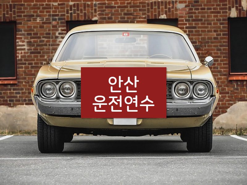 안산운전연수 후기