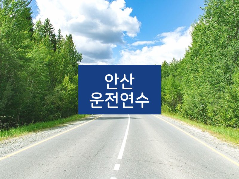 안산운전연수 후기
