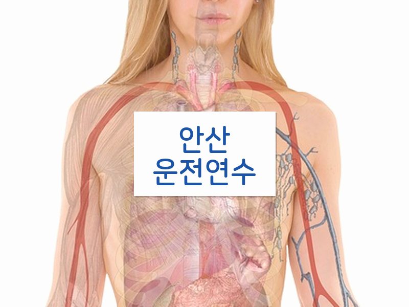 안산운전연수 후기