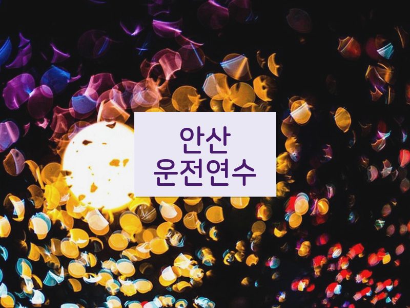 안산운전연수 후기