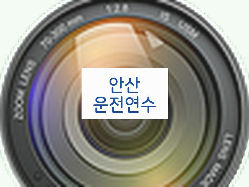 안산운전연수 후기
