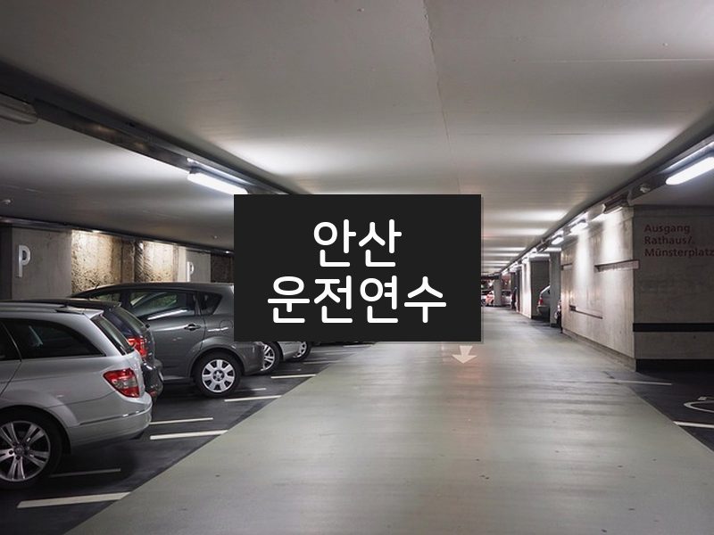 안산운전연수 후기