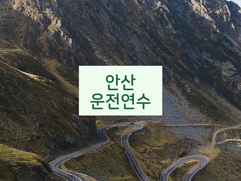 안산운전연수 후기