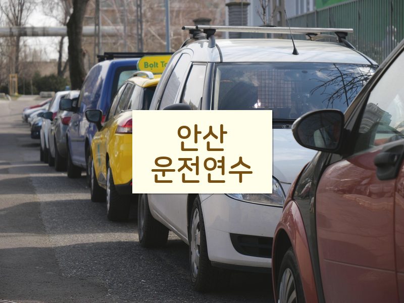안산운전연수 후기