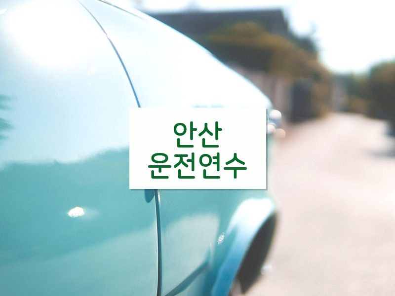 안산운전연수 후기