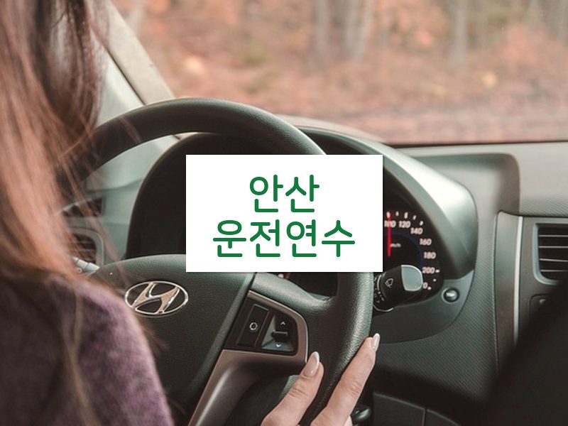 안산운전연수 후기