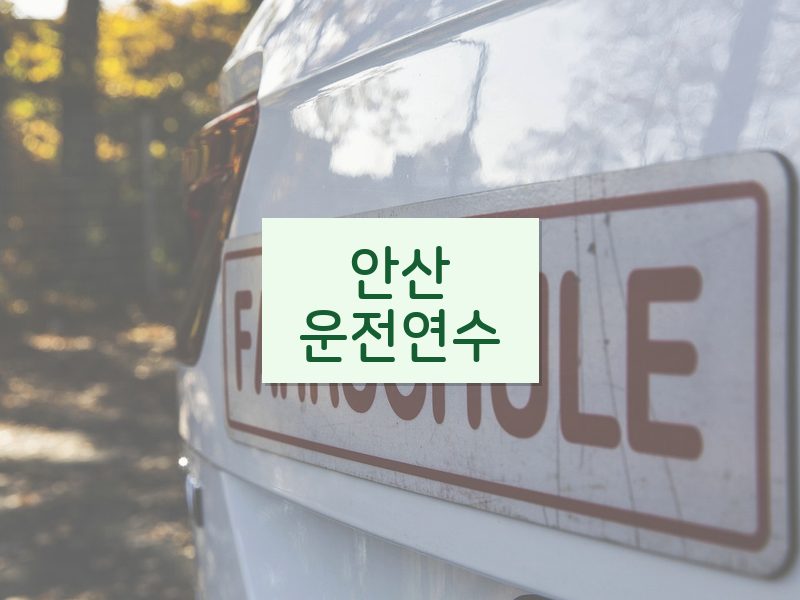 안산운전연수 후기