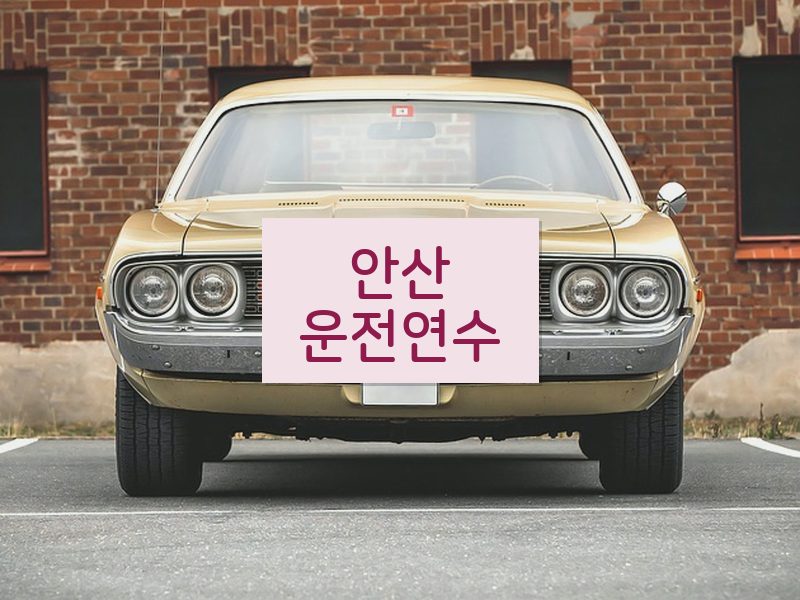 안산운전연수 후기