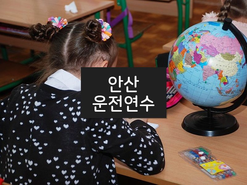안산운전연수 후기