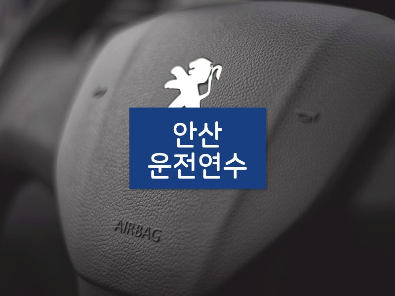 안산운전연수 후기