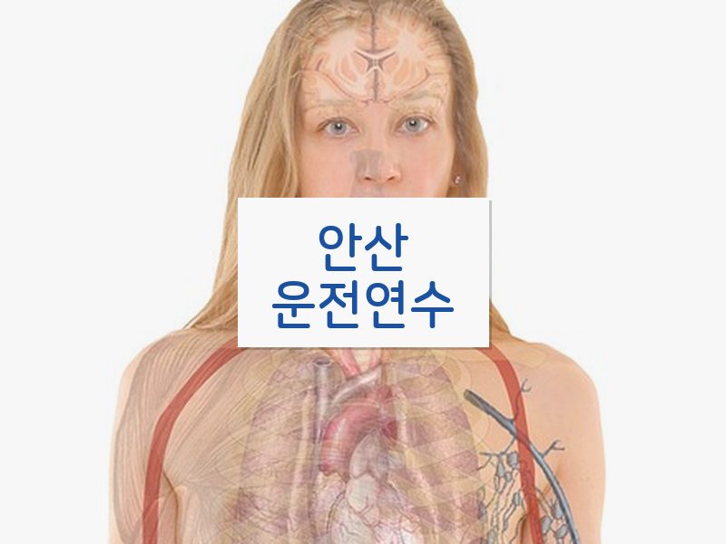 안산운전연수 후기