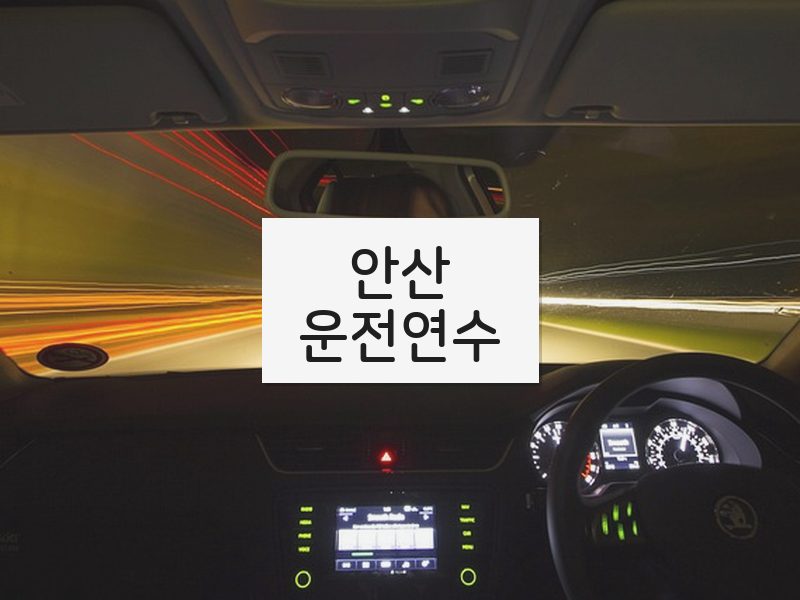 안산운전연수 후기