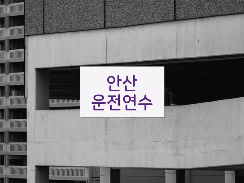 안산운전연수 후기