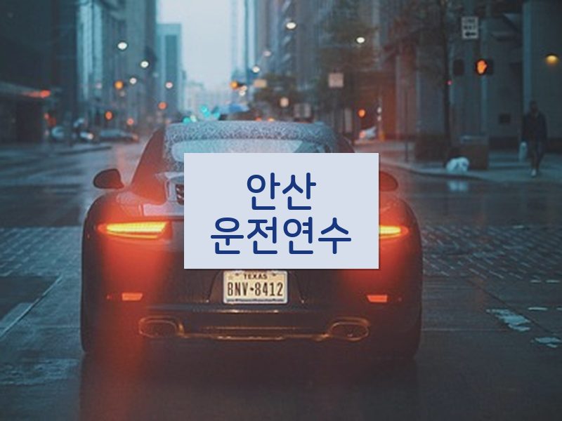 안산운전연수 후기