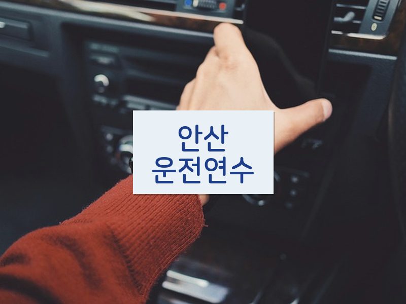 안산운전연수 후기