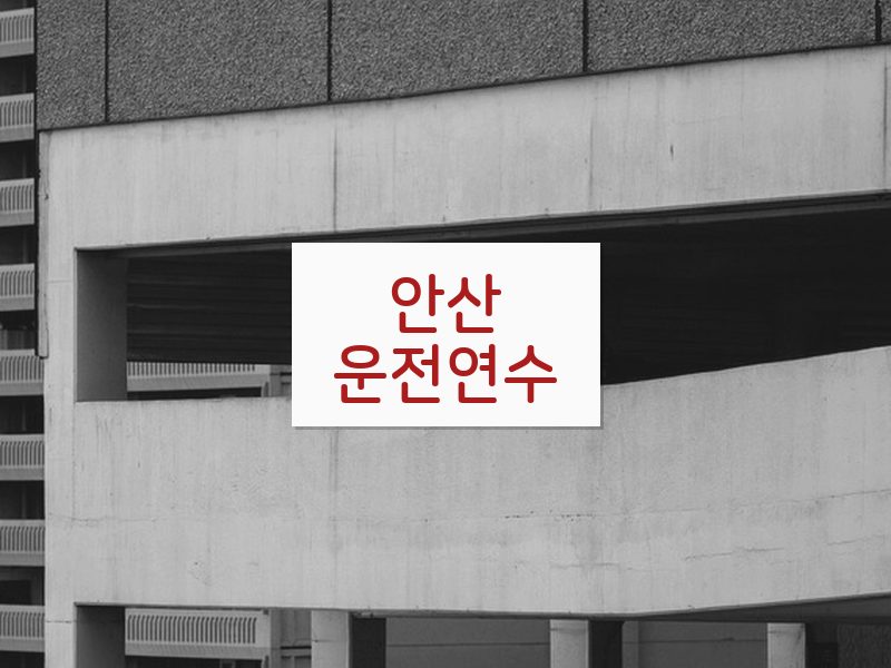 안산운전연수 후기