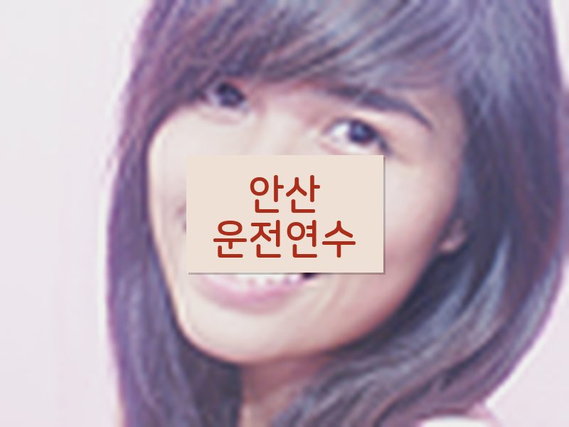 안산운전연수 후기