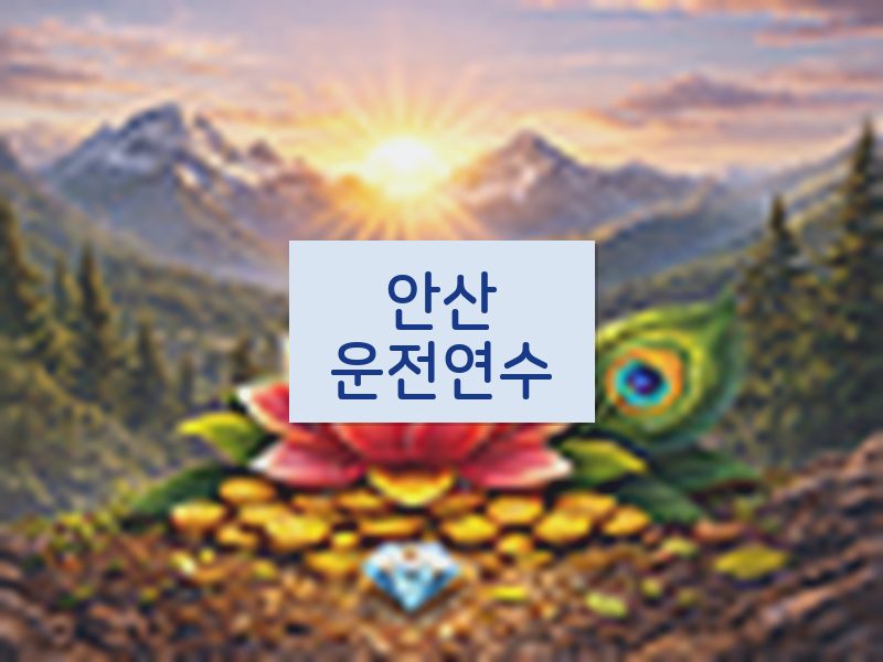 안산운전연수 후기