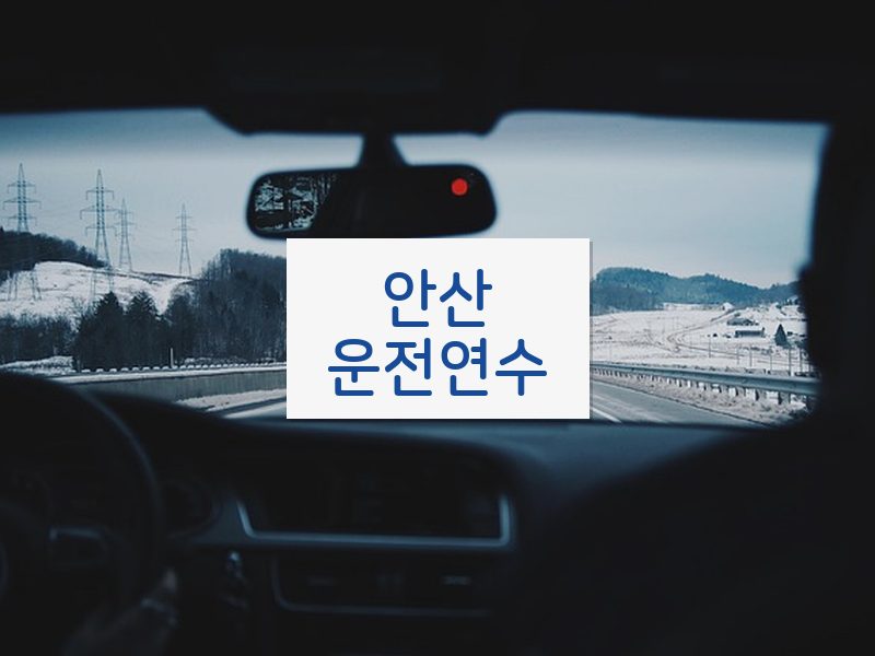 안산운전연수 후기