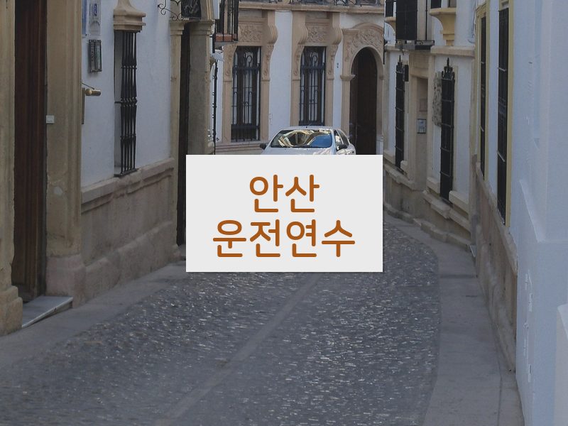 안산운전연수 후기