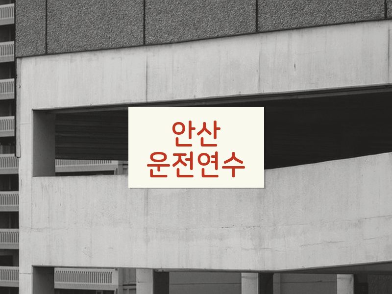 안산운전연수 후기