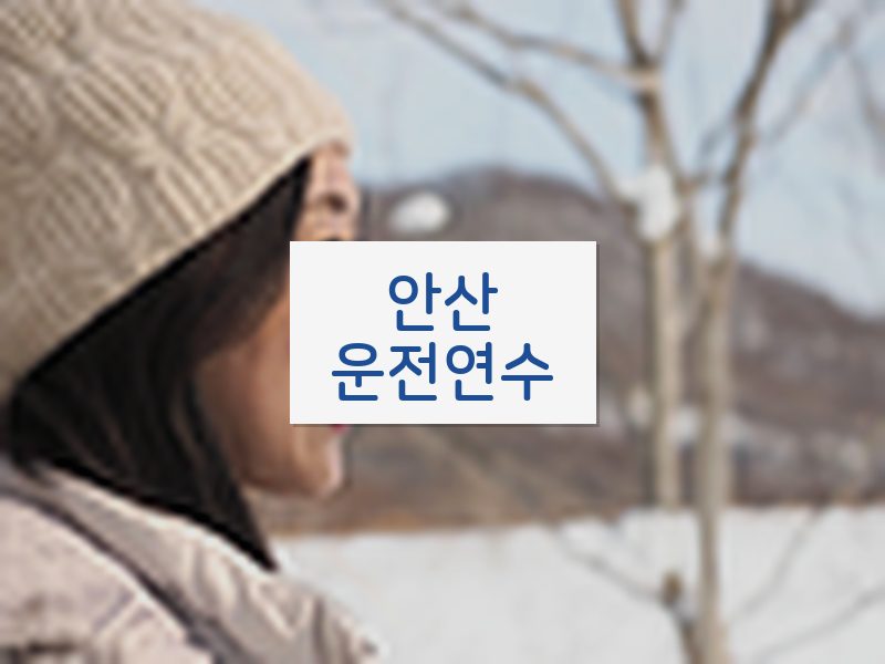 안산운전연수 후기