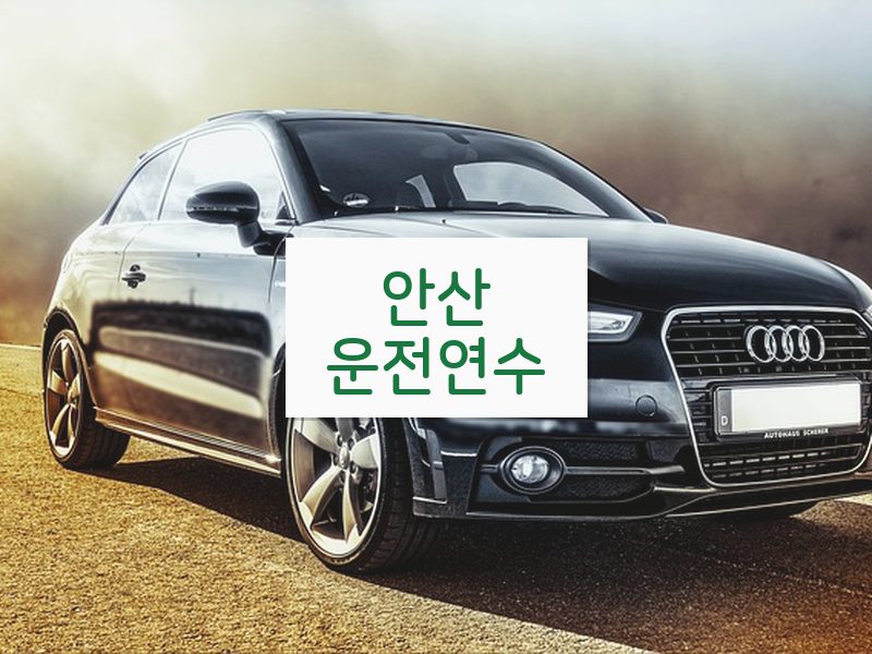 안산운전연수 후기
