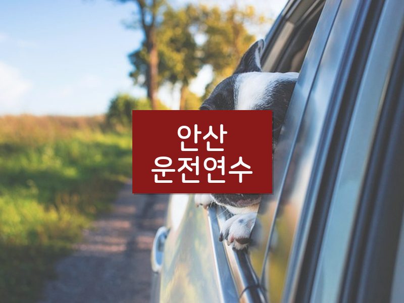안산운전연수 후기