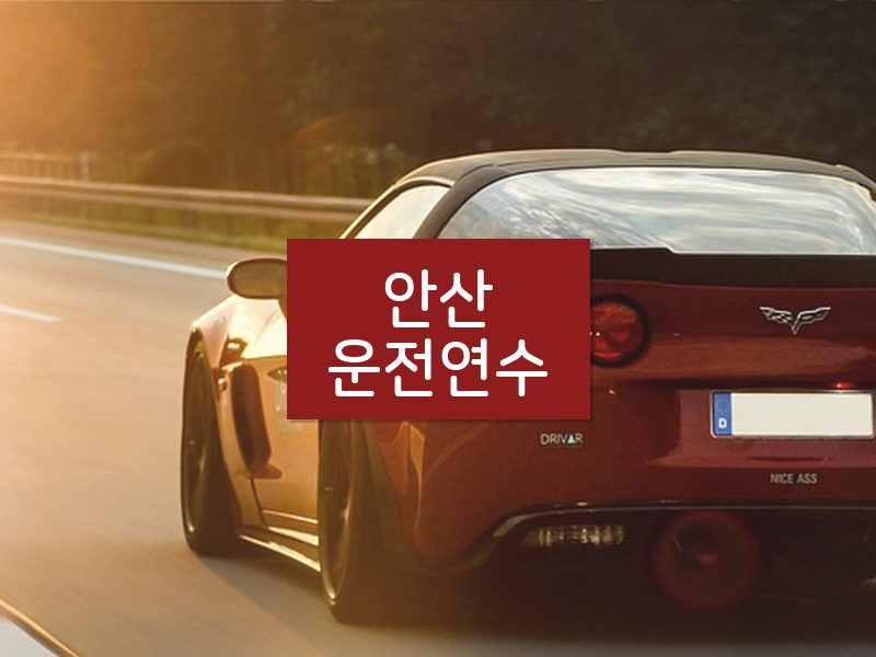 안산운전연수 후기