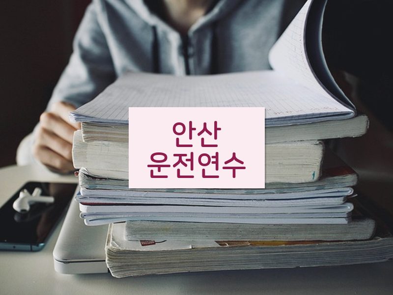 안산운전연수 후기